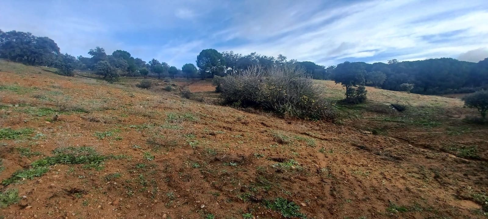 4 makuuhuone Maalaistalo myytävänä paikassa Cazalla de la Sierra mukana 
autotalli - 350 000 € (Ref: 9518453)