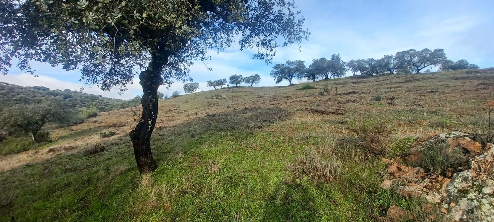 4 makuuhuone Maalaistalo myytävänä paikassa Cazalla de la Sierra mukana 
autotalli - 350 000 € (Ref: 9518453)