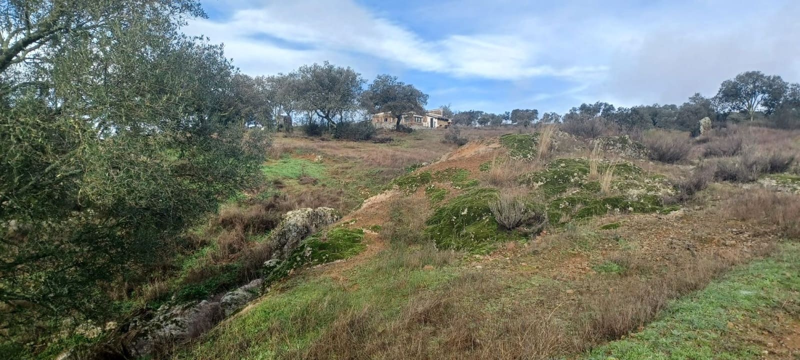 4 makuuhuone Maalaistalo myytävänä paikassa Cazalla de la Sierra mukana 
autotalli - 350 000 € (Ref: 9518453)