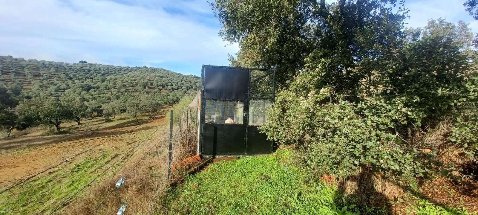 4 makuuhuone Maalaistalo myytävänä paikassa Cazalla de la Sierra mukana 
autotalli - 350 000 € (Ref: 9518453)