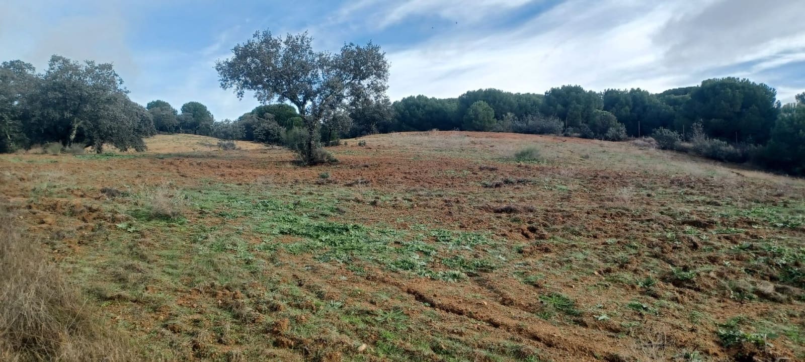 4 makuuhuone Maalaistalo myytävänä paikassa Cazalla de la Sierra mukana 
autotalli - 350 000 € (Ref: 9518453)
