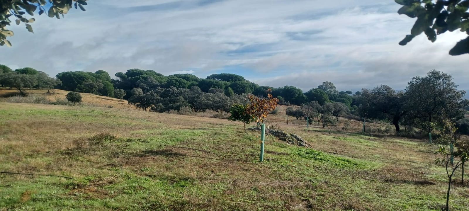 4 makuuhuone Maalaistalo myytävänä paikassa Cazalla de la Sierra mukana 
autotalli - 350 000 € (Ref: 9518453)