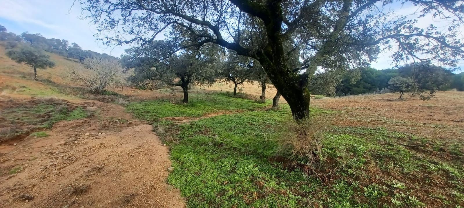 4 makuuhuone Maalaistalo myytävänä paikassa Cazalla de la Sierra mukana 
autotalli - 350 000 € (Ref: 9518453)