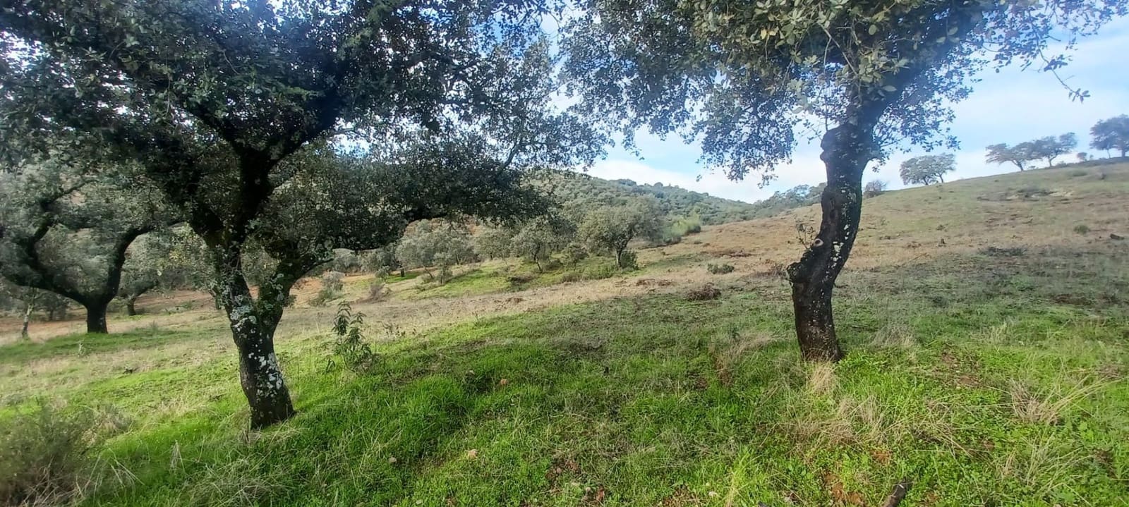 4 makuuhuone Maalaistalo myytävänä paikassa Cazalla de la Sierra mukana 
autotalli - 350 000 € (Ref: 9518453)