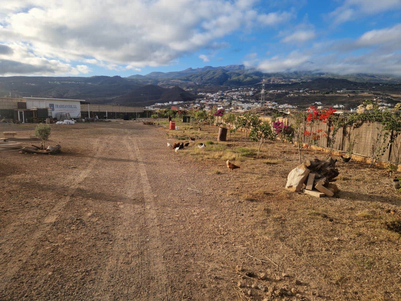 Finca/Landhuis te koop in Charco del Pino - € 159.000 (Ref: 9355638)