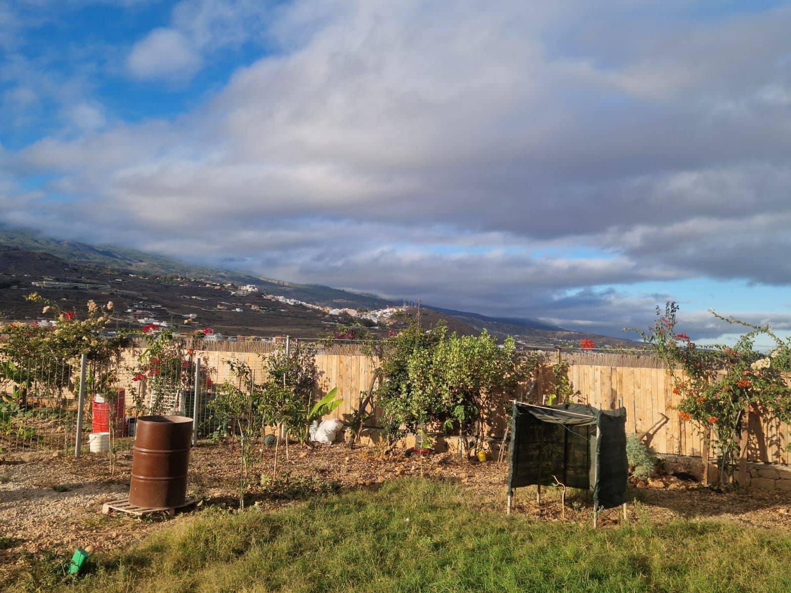 Finca/Landhuis te koop in Charco del Pino - € 159.000 (Ref: 9355638)