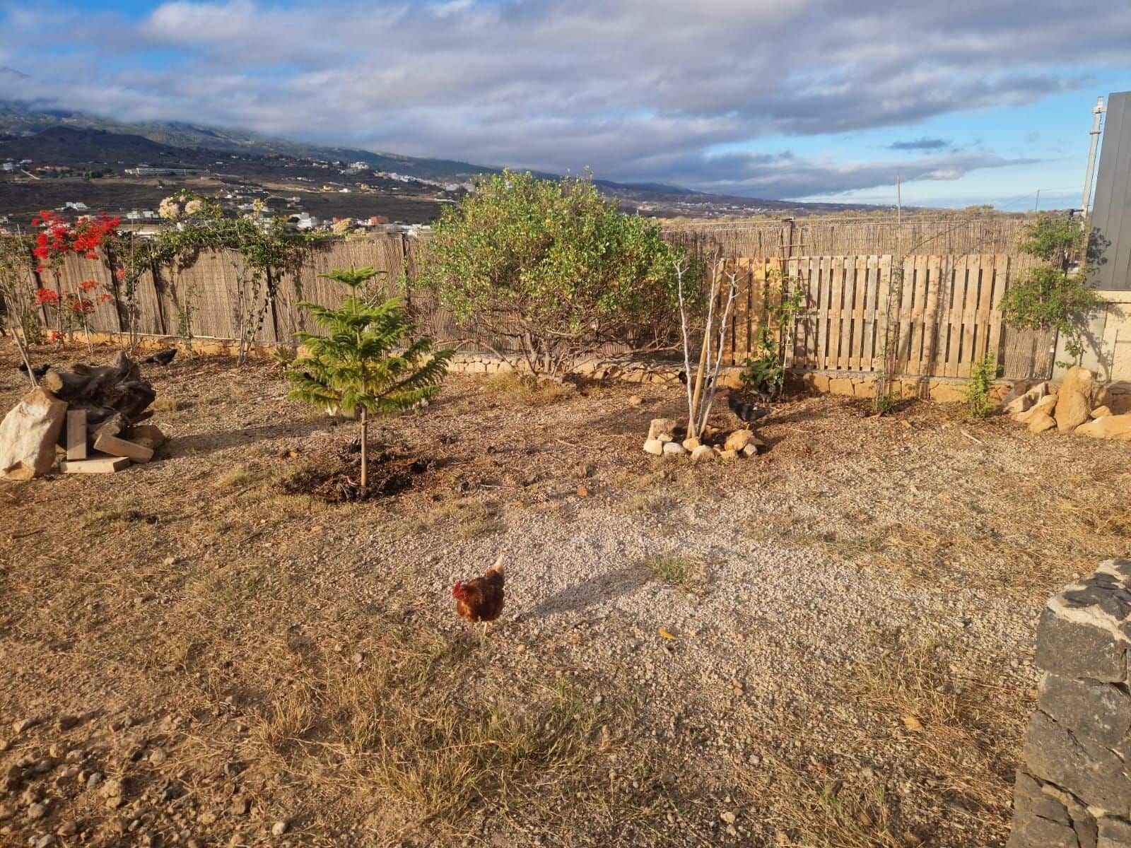 Finca/Landhuis te koop in Charco del Pino - € 159.000 (Ref: 9355638)