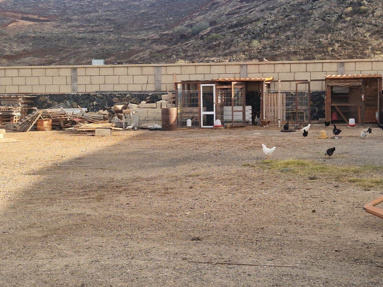 Finca/Landhuis te koop in Charco del Pino - € 159.000 (Ref: 9355638)