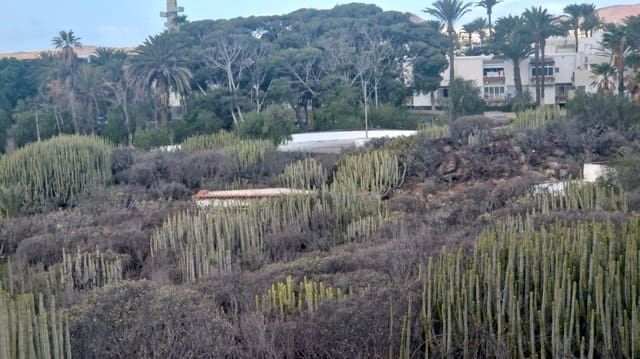 1 soverom Leilighet til salgs i Costa del Silencio, Arona med garasje - € 175 000 (Ref: 9398212)