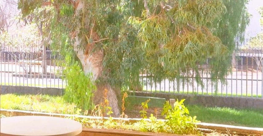 1 bedroom Apartment for sale in Costa del Silencio with pool garage - € 169,000 (Ref: 9398213)