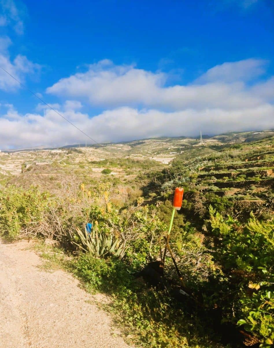 3 soveværelse Finca/Landehus til salg i Fasnia med garage - € 249.000 (Ref: 9426905)