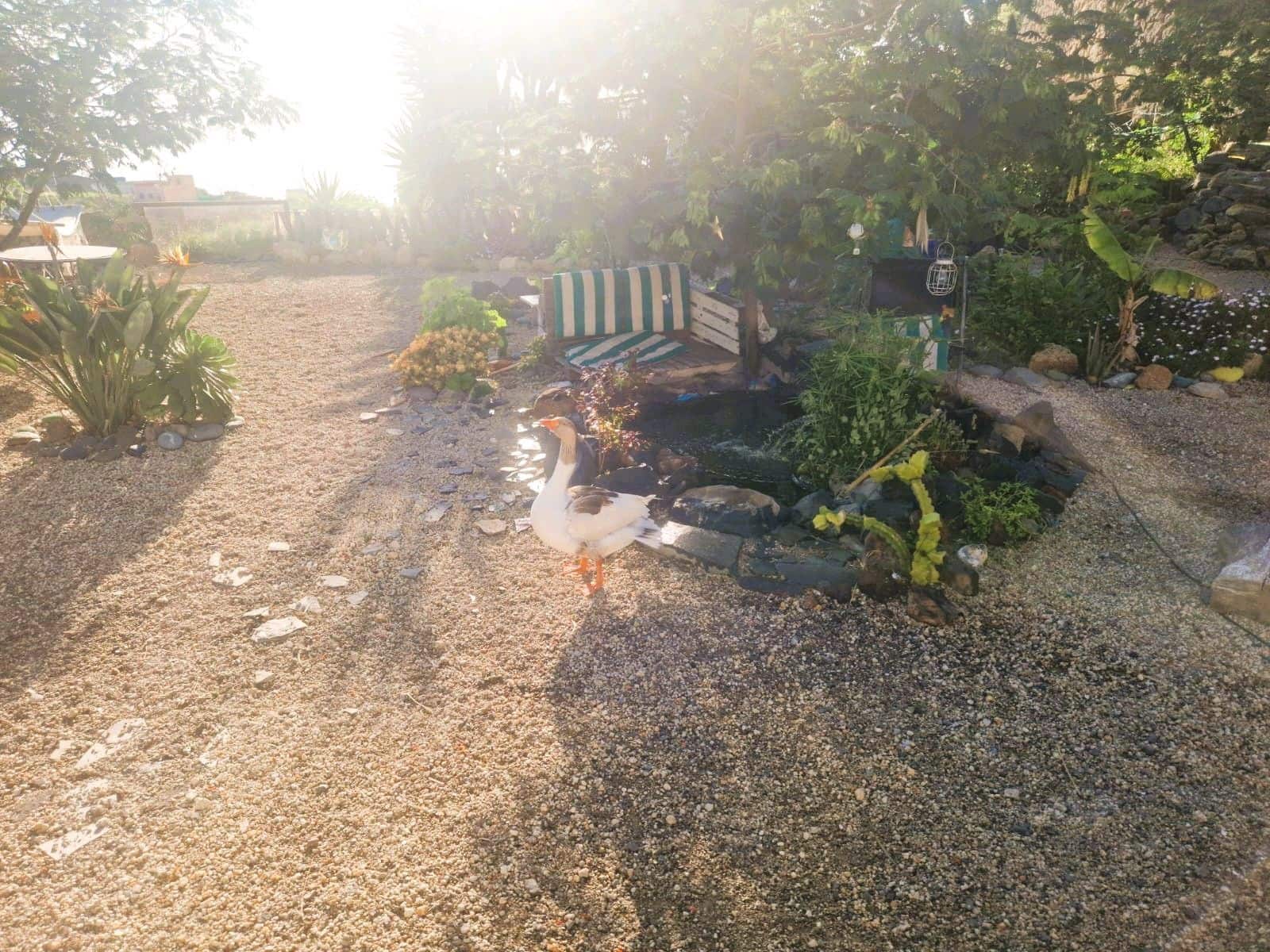 3 soveværelse Finca/Landehus til salg i Fasnia med garage - € 249.000 (Ref: 9426905)