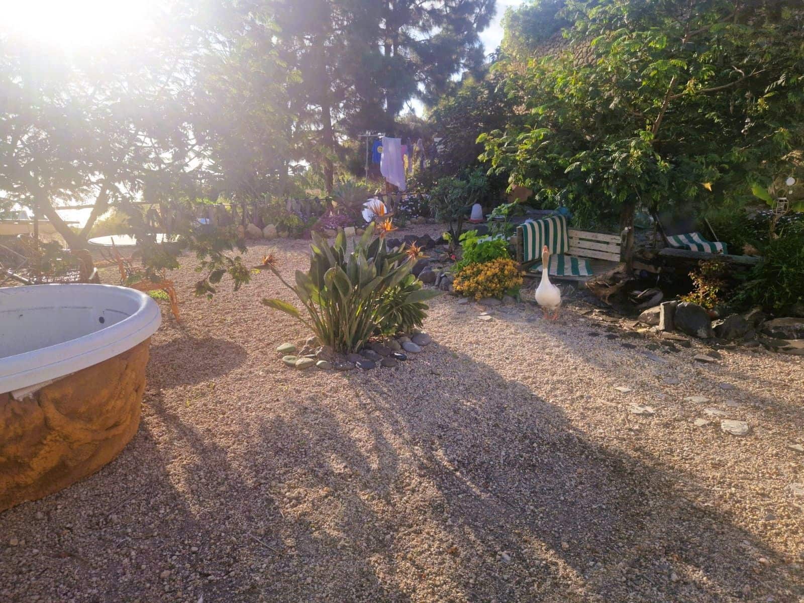 3 soveværelse Finca/Landehus til salg i Fasnia med garage - € 249.000 (Ref: 9426905)