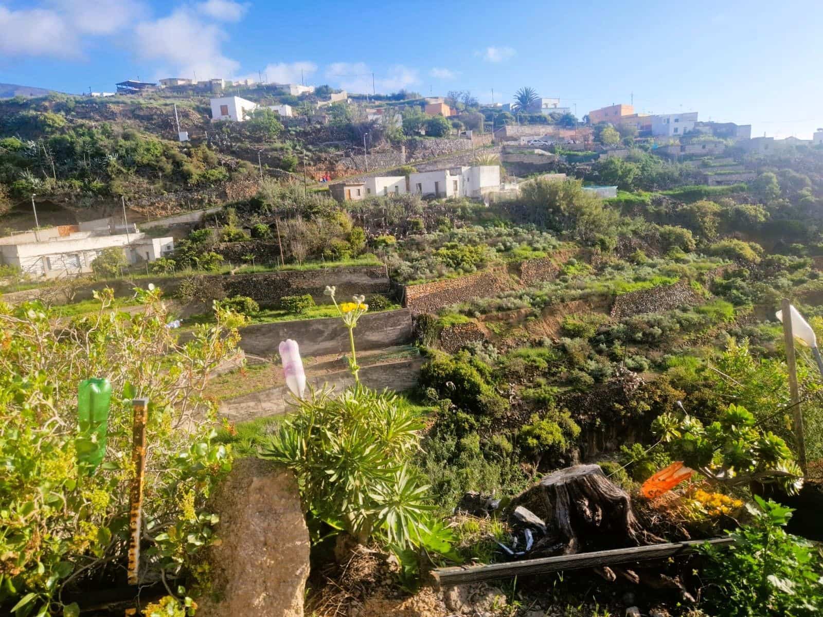 3 soveværelse Finca/Landehus til salg i Fasnia med garage - € 249.000 (Ref: 9426905)