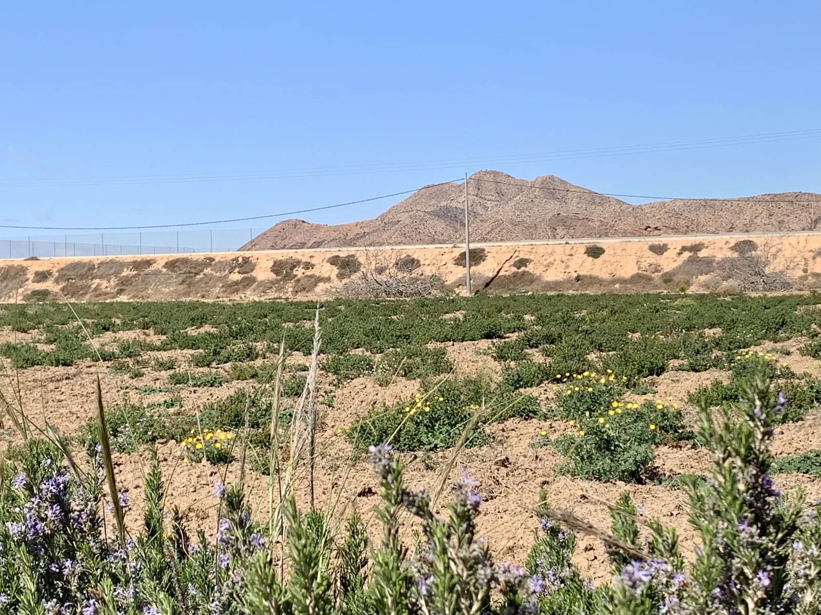 2 makuuhuone Huvila myytävänä paikassa San Javier mukana uima-altaan - 285 000 € (Ref: 9324564)