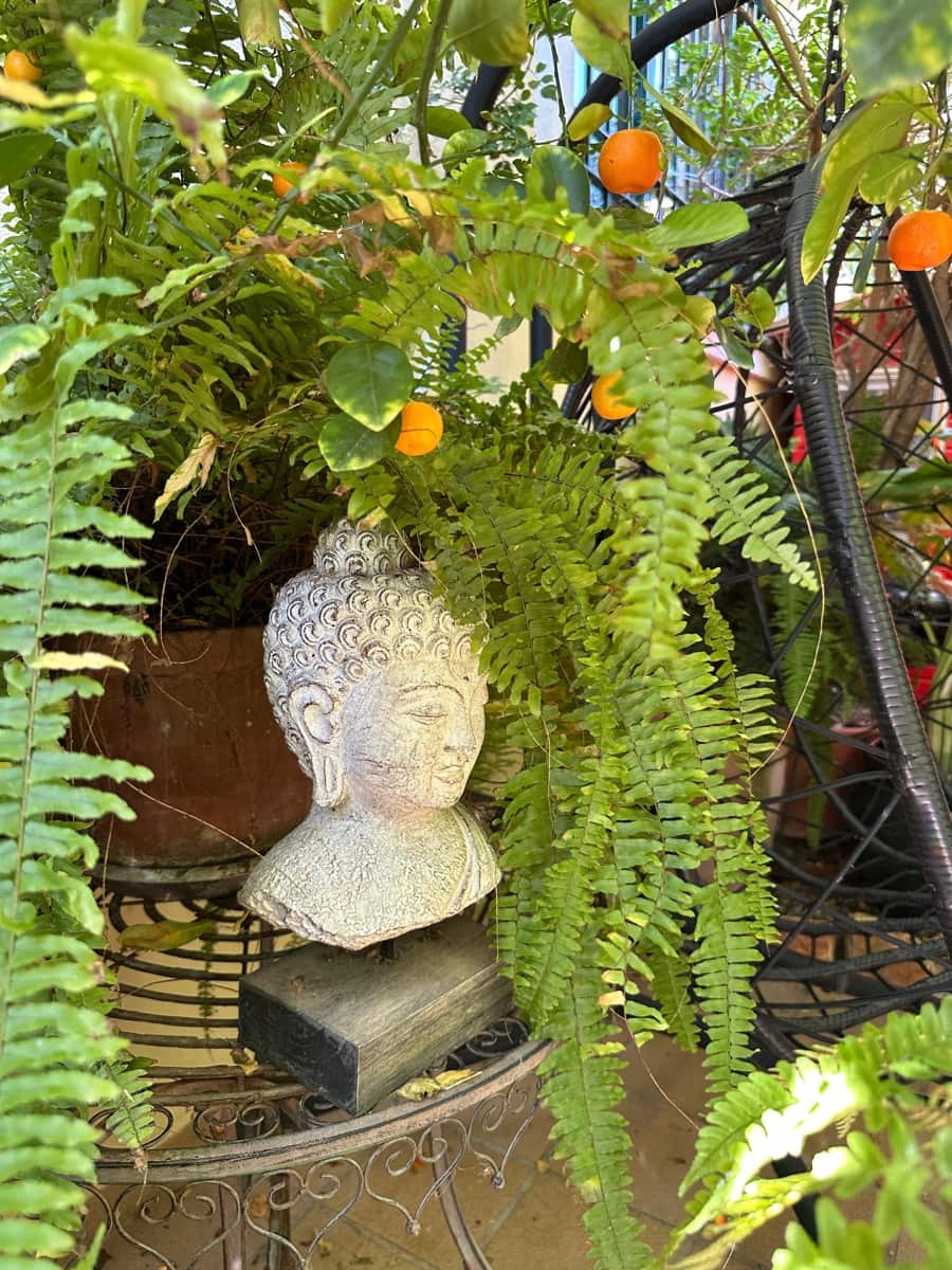 2 chambre Maison de Ville à vendre à Villamartin avec piscine garage - 269 000 € (Ref: 9324645)