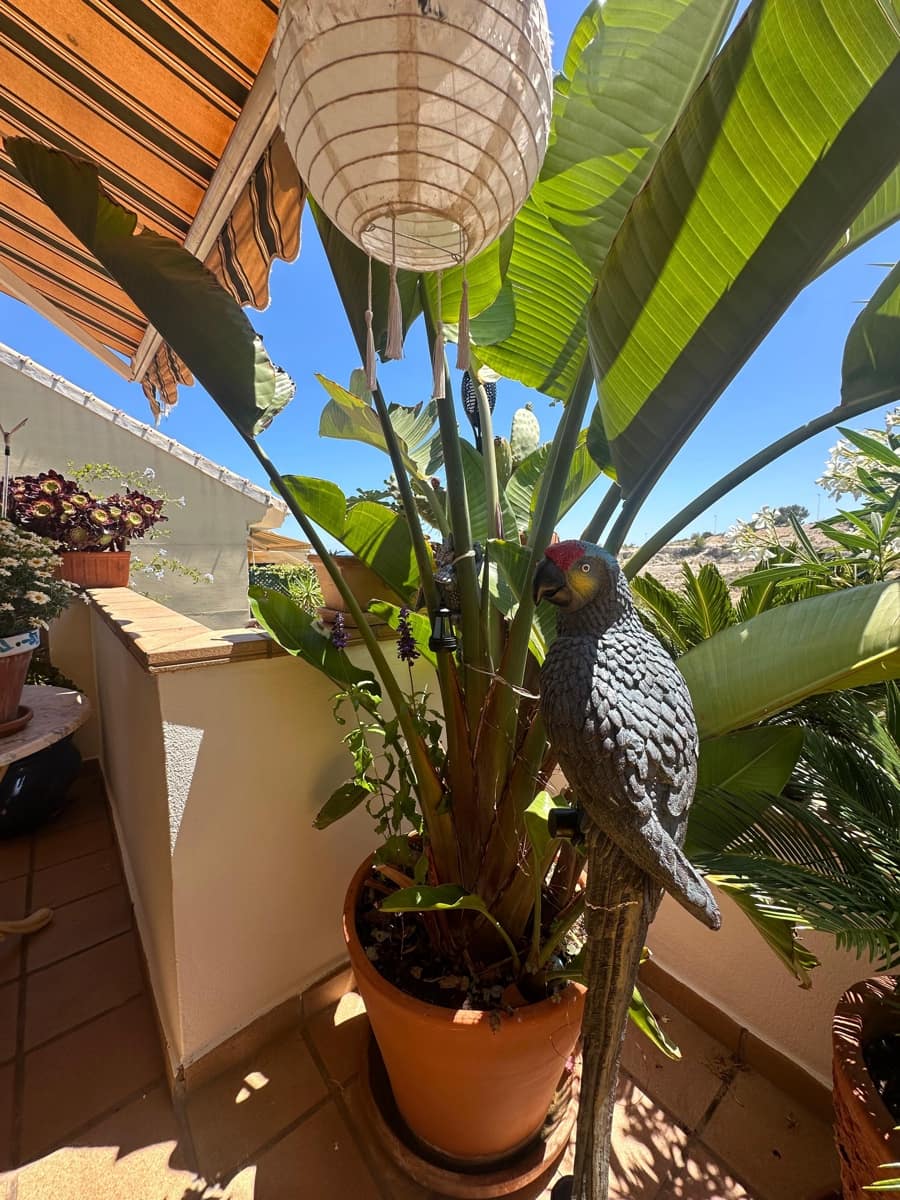 2 chambre Maison de Ville à vendre à Villamartin avec piscine garage - 269 000 € (Ref: 9324645)