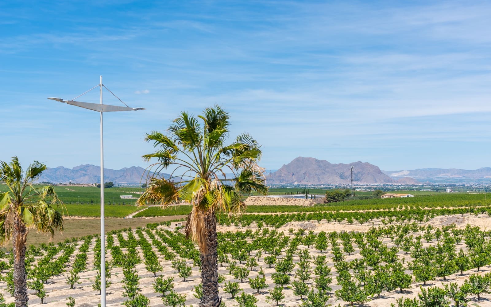 3 quarto Moradia para venda em Algorfa com piscina - 450 000 € (Ref: 9324648)