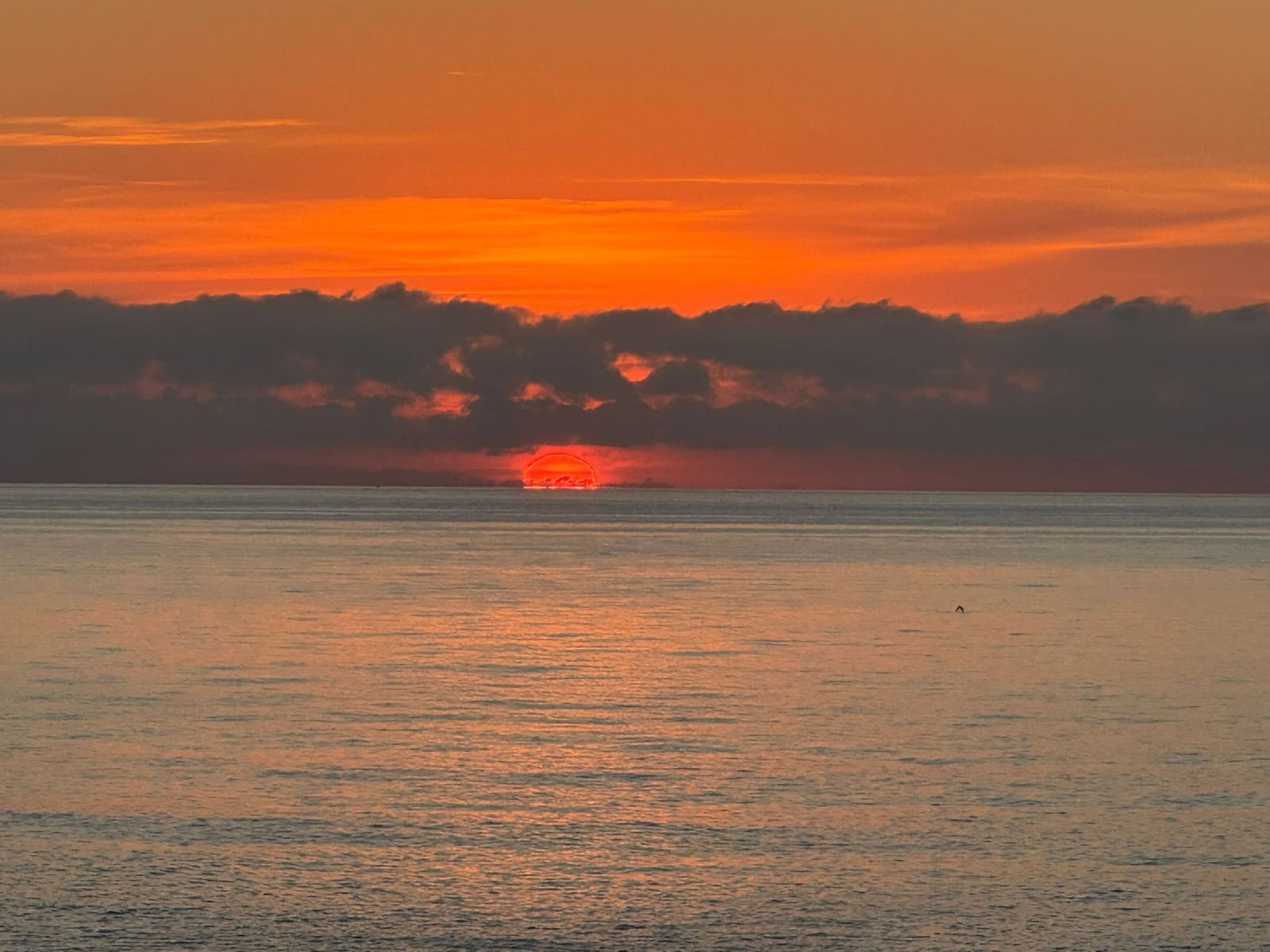 4 Zimmer Villa zu verkaufen in San Juan de los Terreros mit Pool - 1.070.000 € (Ref: 9372148)