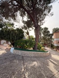 9 bedroom Finca/Country House for sale in El Palmar with pool garage - € 499,000 (Ref: 9938538)