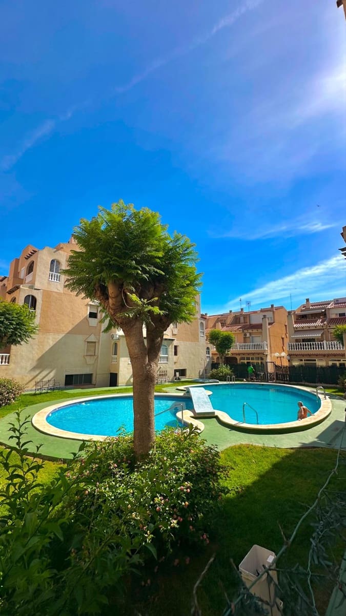 2 soveværelse Lejlighed til salg i Torrevieja med swimmingpool - € 135.000 (Ref: 9884850)