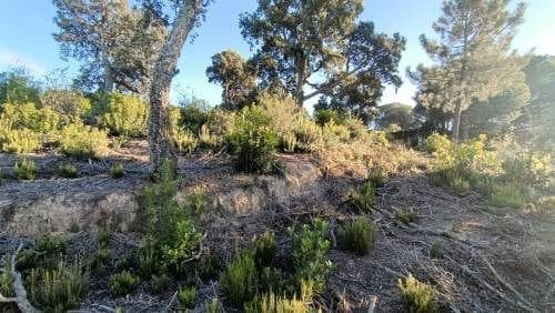 Building Plot for sale in Lloret de Mar - € 28,000 (Ref: 9715220)