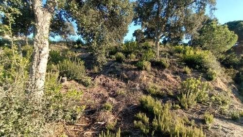 Byggegrund til salg i Urbanitzacions del Nord, Lloret de Mar - € 28.000 (Ref: 9715220)