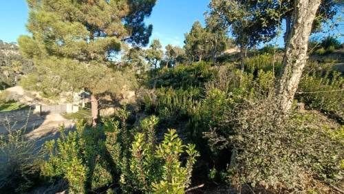 Building Plot for sale in Lloret de Mar - € 28,000 (Ref: 9715220)