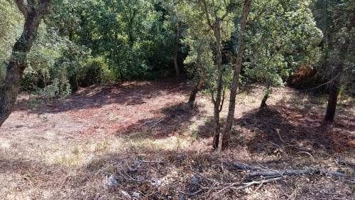 Terrain à Bâtir à vendre à Lloret de Mar - 12 000 € (Ref: 9715221)
