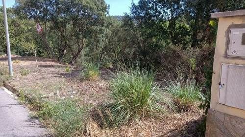 Terrain à Bâtir à vendre à Lloret de Mar - 12 000 € (Ref: 9715221)