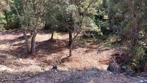 Terrain à Bâtir à vendre à Lloret de Mar - 12 000 € (Ref: 9715221)