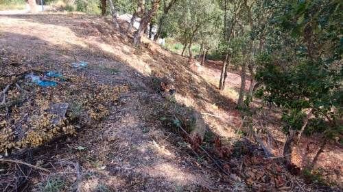 Terrain à Bâtir à vendre à Lloret de Mar - 12 000 € (Ref: 9715221)