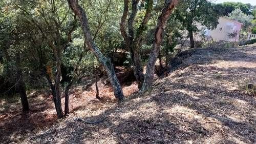 Terrain à Bâtir à vendre à Lloret de Mar - 12 000 € (Ref: 9715221)