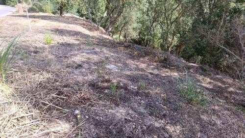 Byggetomt til salgs i Urbanitzacions del Nord, Lloret de Mar - € 12 000 (Ref: 9715223)