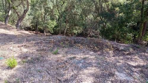 Terreno para Construção para venda em Lloret de Mar - 12 000 € (Ref: 9715223)