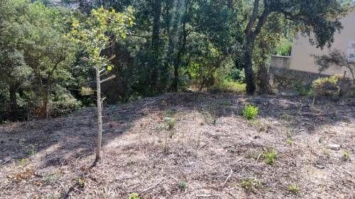 Terreno para Construção para venda em Lloret de Mar - 12 000 € (Ref: 9715223)