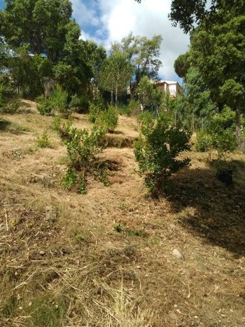 Byggetomt til salgs i Vidreres - € 29 900 (Ref: 9715224)