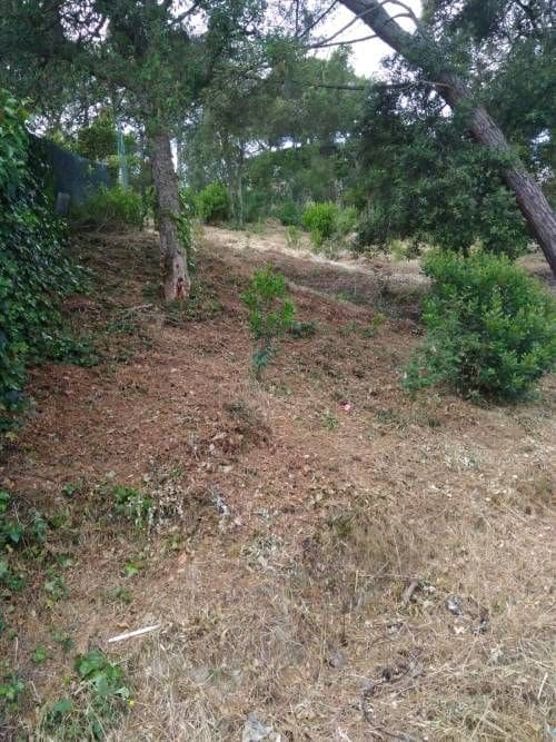 Byggetomt til salgs i Vidreres - € 29 900 (Ref: 9715224)