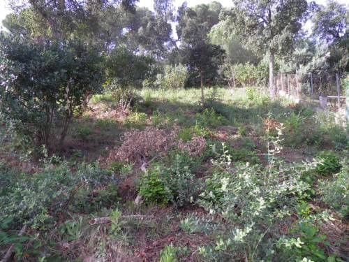 Byggetomt til salgs i Aiguaviva Parc, Vidreres - € 29 900 (Ref: 9715224)