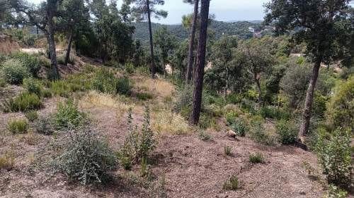 Ubebygd land til salgs i Urbanitzacions del Nord, Lloret de Mar - € 18 000 (Ref: 9715225)