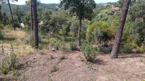 Ubebygd land til salgs i Urbanitzacions del Nord, Lloret de Mar - € 18 000 (Ref: 9715225)
