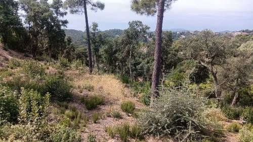 Ubebygd land til salgs i Urbanitzacions del Nord, Lloret de Mar - € 18 000 (Ref: 9715225)
