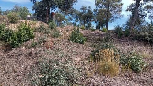 Ubebygd land til salgs i Lloret de Mar - € 18 000 (Ref: 9715225)