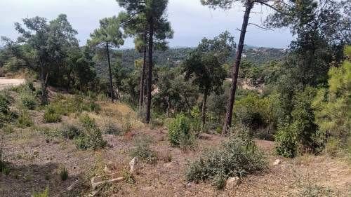 Ubebygd land til salgs i Lloret de Mar - € 18 000 (Ref: 9715225)