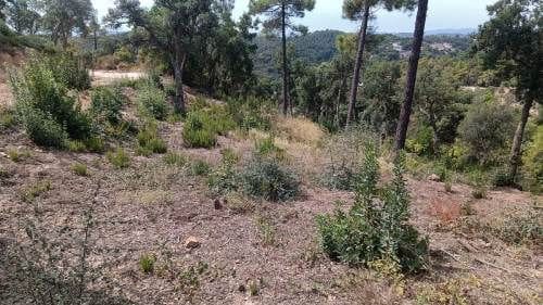 Ubebygd land til salgs i Urbanitzacions del Nord, Lloret de Mar - € 18 000 (Ref: 9715225)