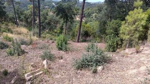 Ubebygd land til salgs i Urbanitzacions del Nord, Lloret de Mar - € 18 000 (Ref: 9715225)