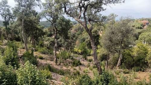 Ubebygd land til salgs i Urbanitzacions del Nord, Lloret de Mar - € 18 000 (Ref: 9715225)