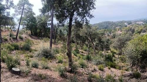 Ubebygd land til salgs i Urbanitzacions del Nord, Lloret de Mar - € 18 000 (Ref: 9715225)