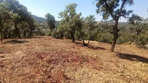 Byggetomt til salgs i Aiguaviva Parc, Vidreres - € 80 000 (Ref: 9715228)