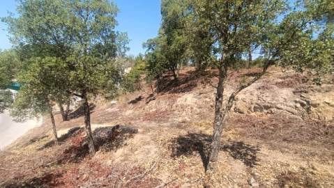 Byggetomt til salgs i Vidreres - € 80 000 (Ref: 9715228)